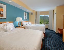 Fairfield Inn & Suites by Marriott Roanoke Hollins/I-81 Öne Çıkan Resim