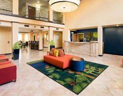 Fairfield Inn & Suites Chicago Lombard Genel