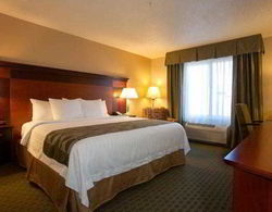 Fairfield Inn & Suites Detroit Livonia Genel