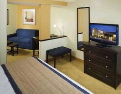 Fairfield Inn & Suites Houston Interc. Airport Genel