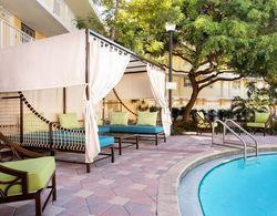 Fairfield Inn & Suites Key West Havuz