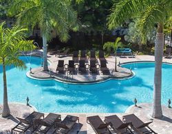 Fairfield Inn & Suites Key West Havuz