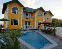 Faith's Villa of Tobago Dış Mekan