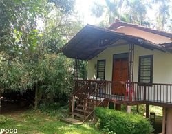 Family Villa is a hut Style Accommodation Dış Mekan