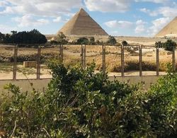 Farida Pyramids View Dış Mekan