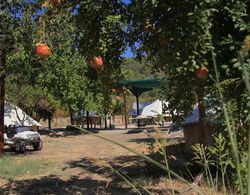 Fark Edenler Camping&Caravan&Bungalows Dış Mekan