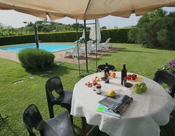 Farmhouse With Pool and Private Terrace, Between Fruit Trees and Olive Grove Havuz
