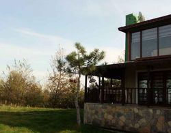 Fascinating Villa With Private Pool in the Heart of Nature in Sapanca Oda
