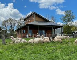 Fat Sheep Farm & Cabins Dış Mekan