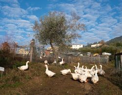 Fattoria di Maiano Genel