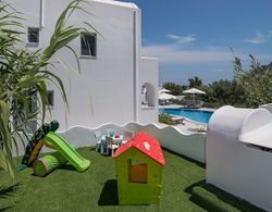 Felicity Villas Santorini Luxury House Dış Mekan