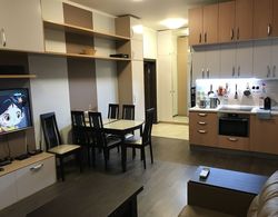 Fenix Deluxe Apartment on Parusnaya 21 - 603 Oda Düzeni
