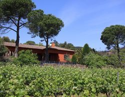 Finca Bell-Lloc Dış Mekan