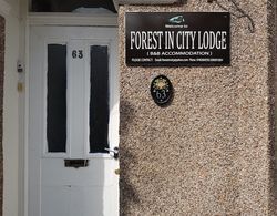 Forest in City Lodge Dış Mekan
