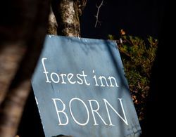 Forest Inn Born Dış Mekan