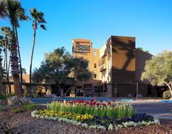 Four Points by Sheraton Tucson Airport Genel