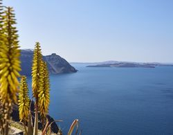 Ftelari Villa Dış Mekan