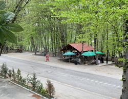 Gachresh Forest Resort Dış Mekan
