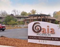 Gaia Hotel & Spa Redding, an Ascend Hotel Genel