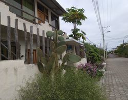 Villa Galapagos Dış Mekan