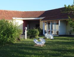 Galeria In The Garden İç Mekan