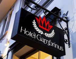Hotel Gambrinus Dış Mekan