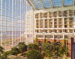 Gaylord National Resort & Convention Center Genel