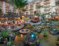 Gaylord Opryland Resort & Convention Center Genel