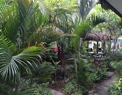 Gili Palms Resort Genel
