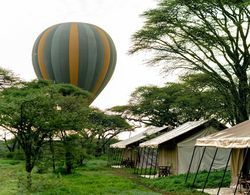 Gnu Ndutu Camp Dış Mekan