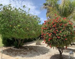 Gorgeous Bungalow by Pissouri Bay, With Private Pool, Landcaped Garden Dış Mekan