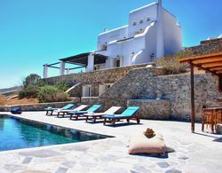 Gorgeous Villa in Mykonos With Private Pool Dış Mekan