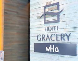Hotel Gracery Ginza Dış Mekan