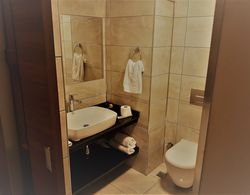 Grand Yeniceri Otel Banyo Tipleri