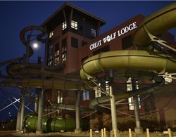 Great Wolf Lodge Minnesota Genel