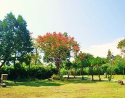 Green forest Homestay Dış Mekanlar