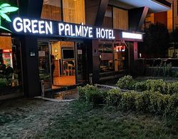 Green Palmiye Otel Genel