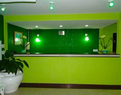 Green Porto Hotel Lobi