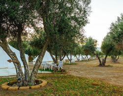 Guadalupe Valle Glamping Dış Mekan