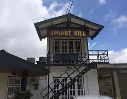 Guesthouse Sprout Hill Dış Mekan