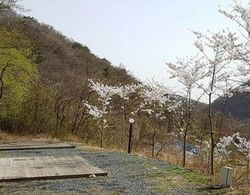 Gyeongju Healing Camp Glamping Genel
