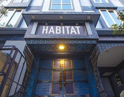Habitat by Liwa Dış Mekan