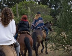 Hacienda Histórica Marchigüe Genel