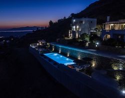 Halcyon Suites and Villas Naxos Dış Mekan