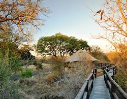 Hamiltons Tented Camp Genel