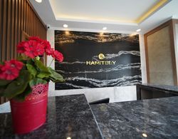 Hamitbey Hotel Genel