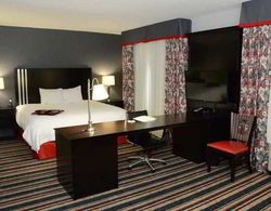 Hampton Inn and Suites Albany Genel