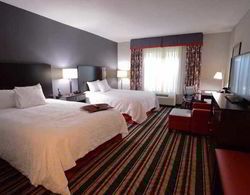 Hampton Inn and Suites Albany Genel