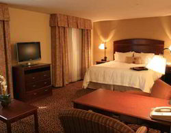 Hampton Inn and Suites Alexandria, MN Genel