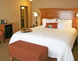 Hampton Inn and Suites Buffalo, WY Genel